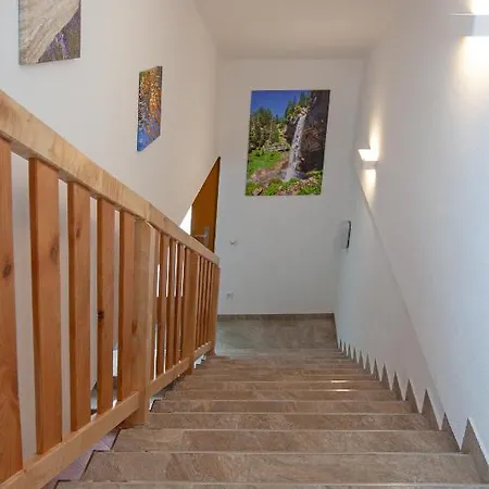 Bettina Mitterwallner