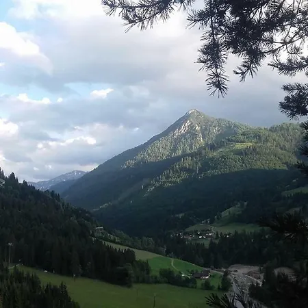 Bettina Mitterwallner * Altenmarkt im Pongau